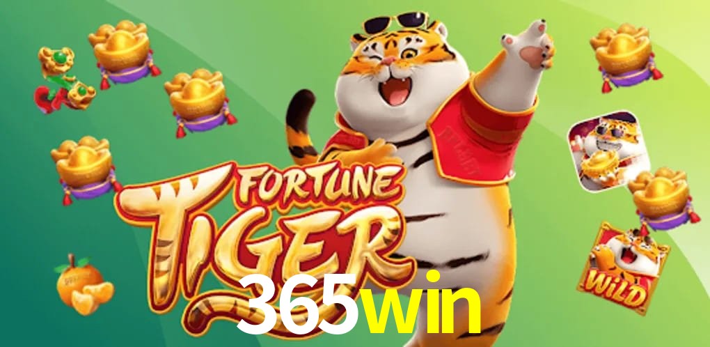 Experiência VIP 365win