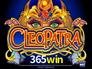 A Experiência Imersiva dos Cassinos Ao Vivo no 365win